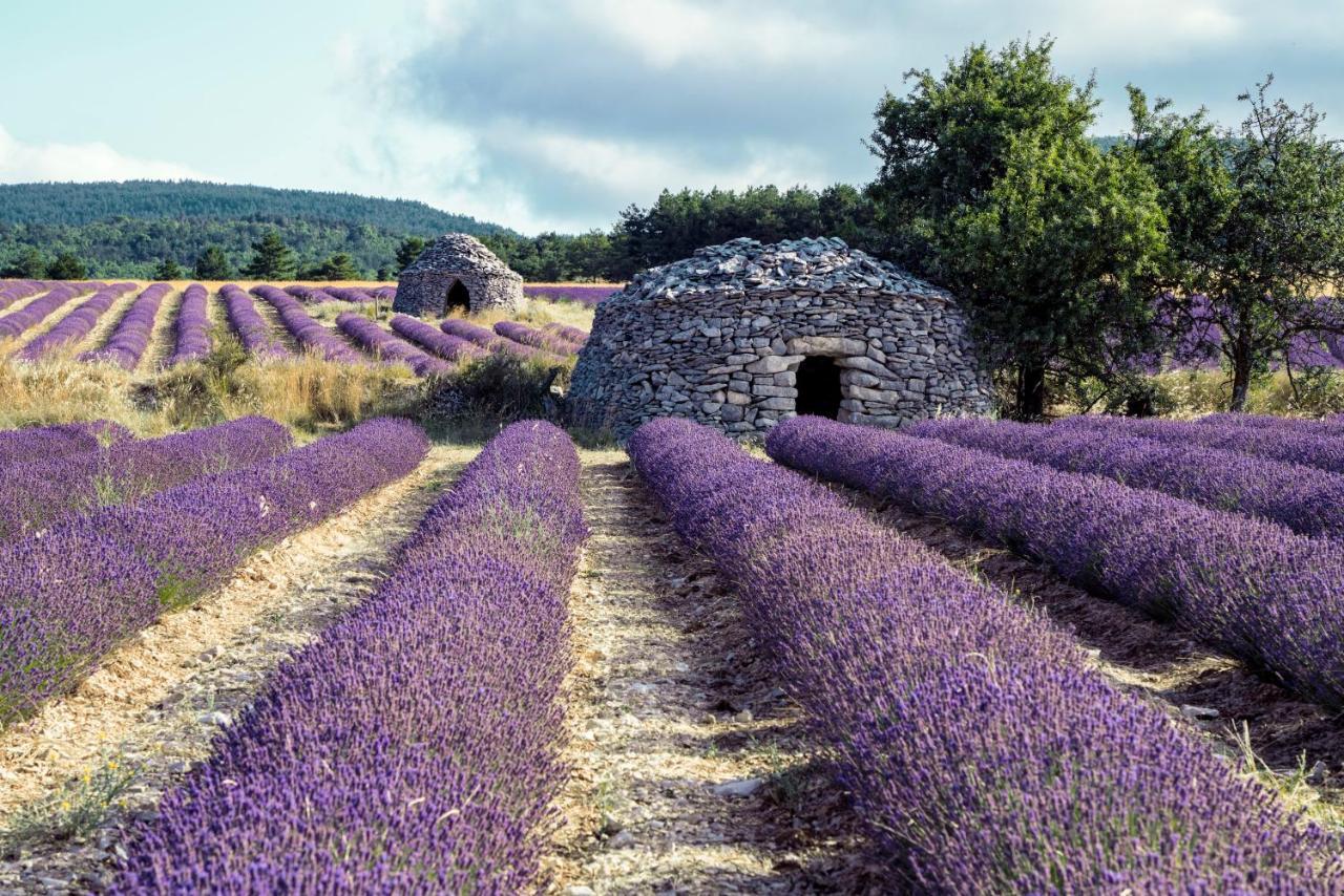 Gite La Bastide De La Loge Au Pied Du Mont Ventoux Со-де-Воклюз Экстерьер фото
